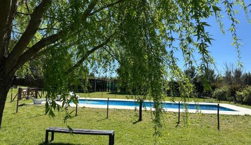 Double Room with Pool View