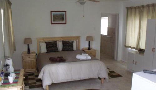 Queen Bed + Bunk Bed (Room 6)