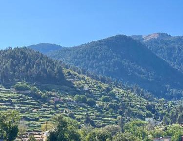 Quadruple Room with Terrace