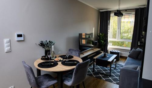 Deluxe One-Bedroom Apartment