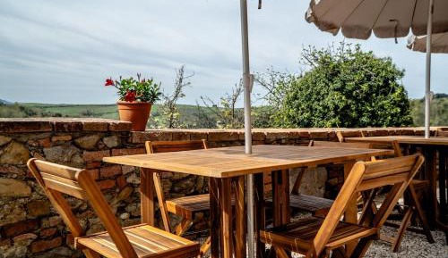 Apartment with Terrace