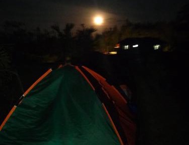 Tent