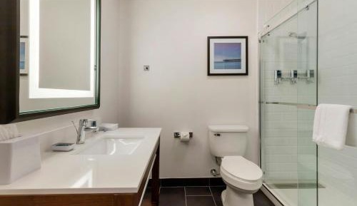 Traditional Guest room with 1 King bed