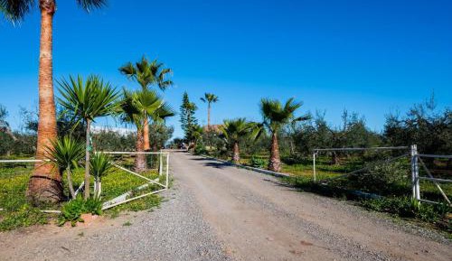 Two-Bedroom Superior Apartment