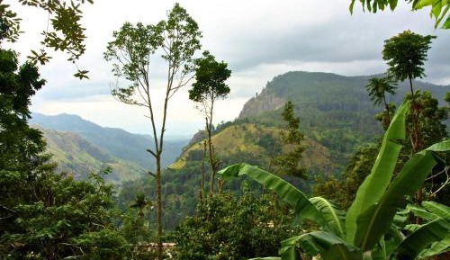 Family Room with Balcony