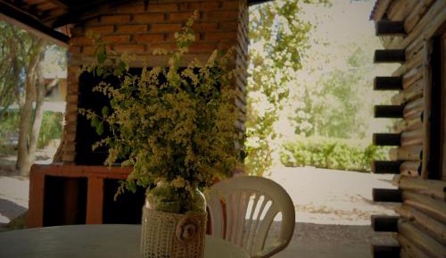 Double Room with Park View