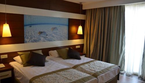 Standard Double or Twin Room