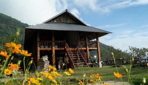 Bed in 6-Bed Dormitory Room