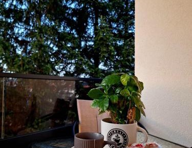 Two-Bedroom Deluxe Apartment