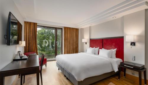 Premium Room with Park View