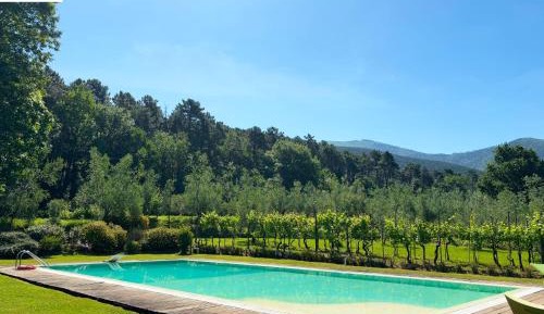 Two-Bedroom Apartment with Pool View