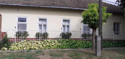 Family Room with Garden View
