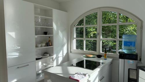 Penthouse Apartment