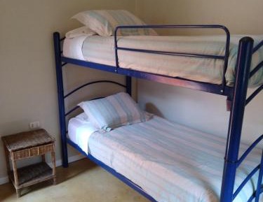 Bunk Bed in Mixed Dormitory Room