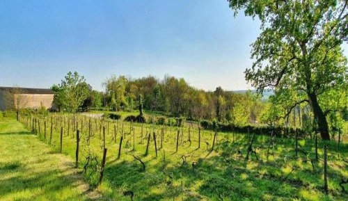 Two-Bedroom Holiday Home