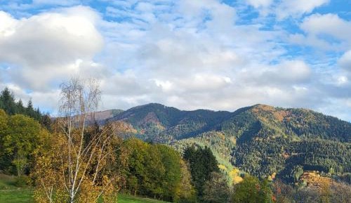 Superior Double or Twin Room with Mountain View
