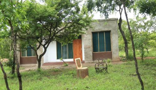 Family Bungalow