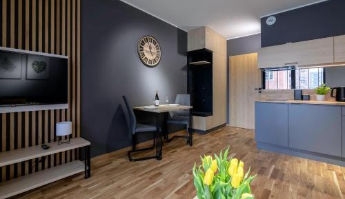 Studio Apartment with Balcony