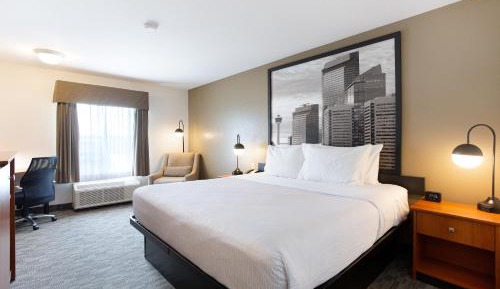Business King Room - Non-Smoking