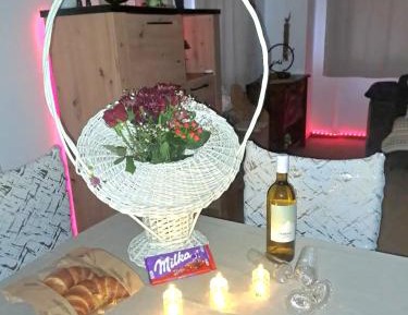 Apartment with Mountain View