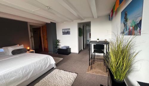 Double Room with Mountain View
