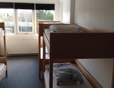 Bunk Bed in Mixed Dormitory Room