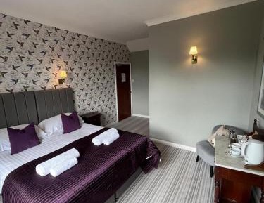 Double or Twin Room
