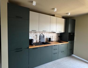 One-Bedroom Apartment with River View