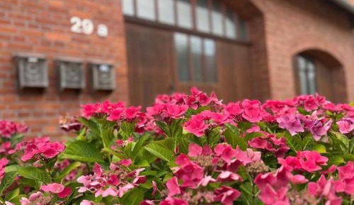 Two-Bedroom Apartment with Terrace