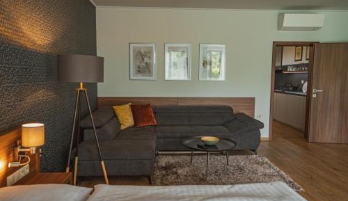 One-Bedroom Superior Apartment