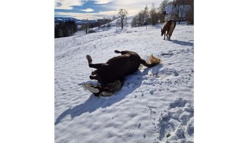 One-Bedroom Vacation Home