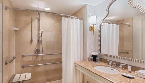King Room with Roll-In Shower and City View - Mobility Accessible