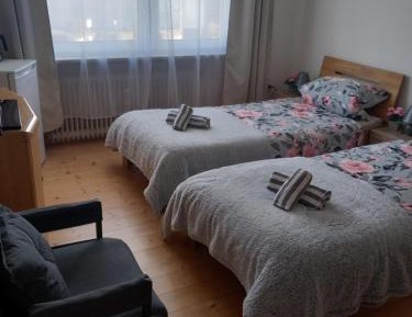 Standard Twin Room