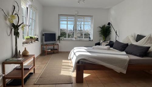 Superior One-Bedroom Apartment