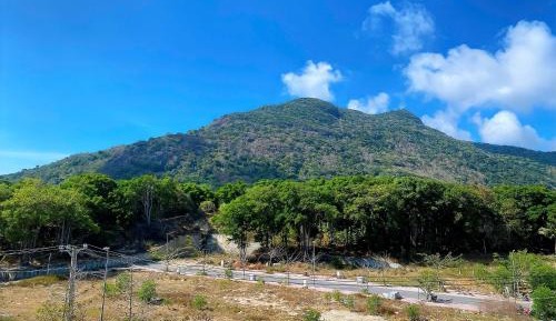 Quadruple Room with Mountain View