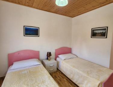 Standard Twin Room with Mountain View