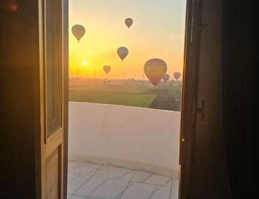 King Room with Garden View