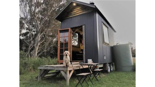 Mobile Home