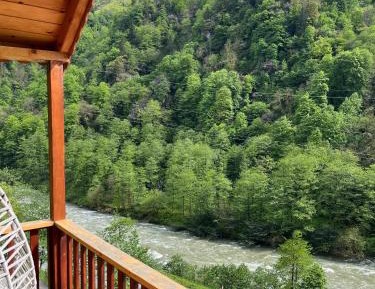 Suite with River View