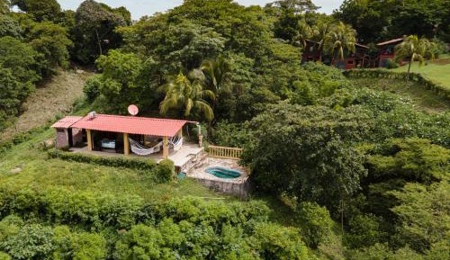 Double Room with Pool View