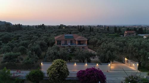 Apartment with Garden View