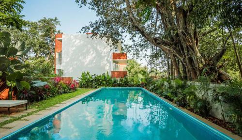ElRaso-1bhk-Cozy apt in Parra