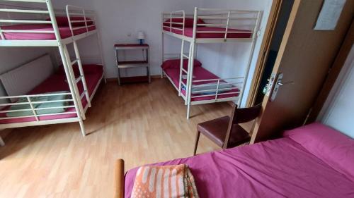 Bunk Bed in Mixed Dormitory Room