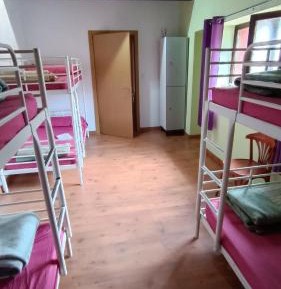 Bunk Bed in Mixed Dormitory Room