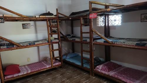 Mixed Dormitory Room