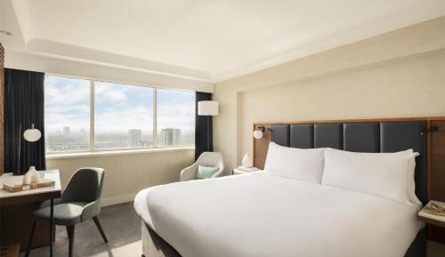 Deluxe King Room with City View