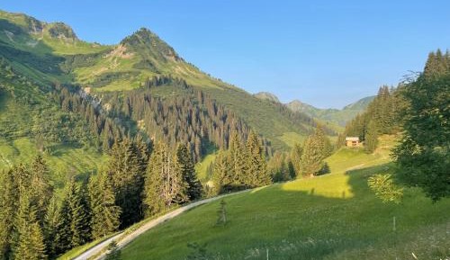 Double Room with Mountain View