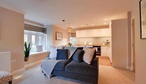 One-Bedroom Apartment with View