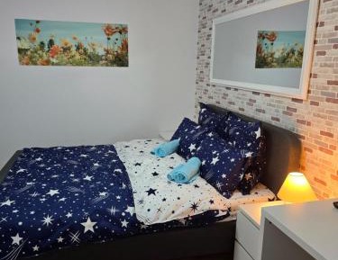 One-Bedroom Apartment - Non-Smoking
