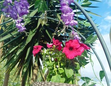 Double Room with Terrace